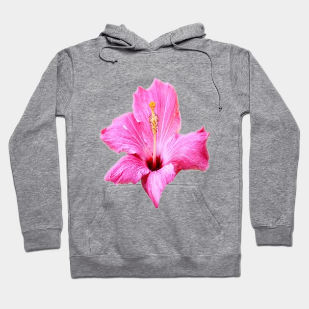 Hibiscus Hoodie by dodgerfl